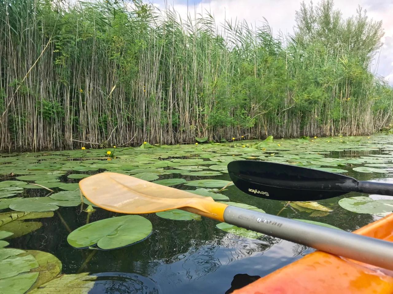 Skadar lake Apartments Pajovic Virpazar Bagian luar foto